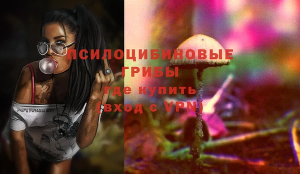 крисы Белоозёрский