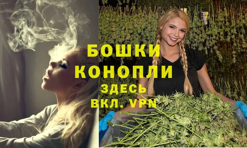 закладки  Будённовск  Бошки марихуана Amnesia 